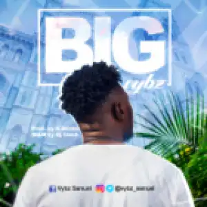 Vybz - Big
